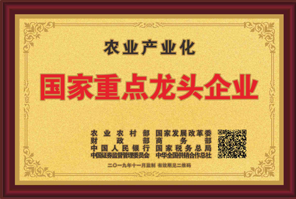殊榮加身！湘豐茶業(yè)集團(tuán)再獲標(biāo)桿龍頭企業(yè)和優(yōu)勢特色產(chǎn)業(yè)30強(qiáng)等稱號