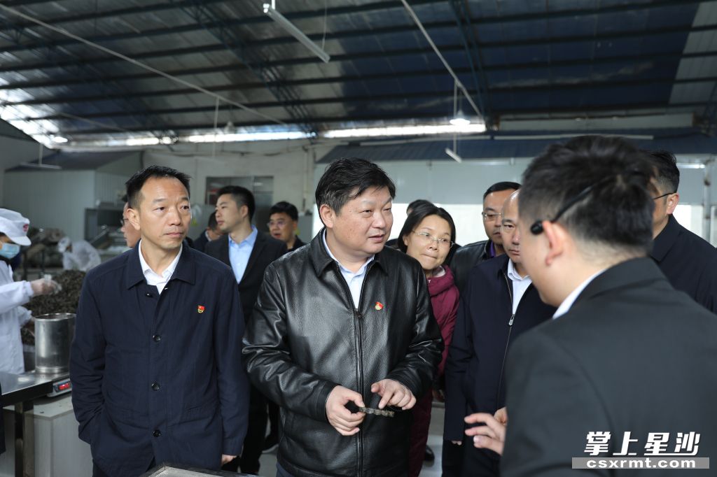 付旭明在湘豐桑植白茶洪家關(guān)工廠調(diào)研產(chǎn)業(yè)發(fā)展情況。.jpg