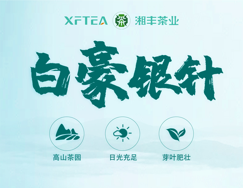 白毫銀針詳情頁(yè)_01.jpg