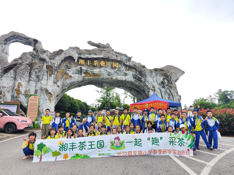 “湘豐茶業(yè)莊園游客持續(xù)暴漲”第九屆茶文化旅游節(jié)后迎來(lái)第一波高峰！