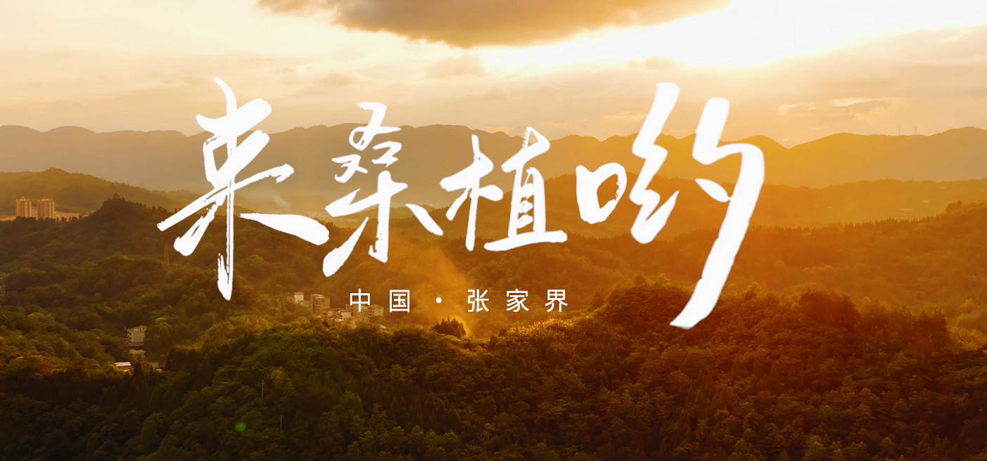 桑植推廣歌曲《來桑植喲》發(fā)布！