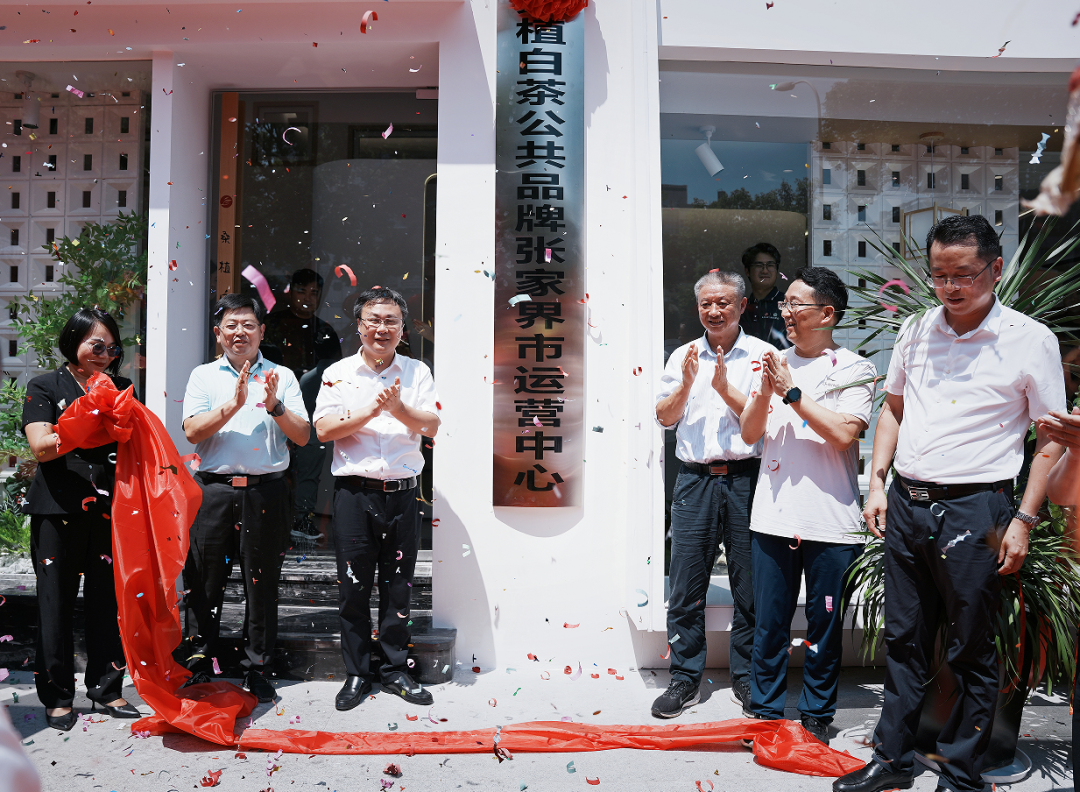 喜報！張家界白莓旗艦店盛裝開業(yè)暨桑植白茶公共品牌張家界市運營中心隆重揭牌！